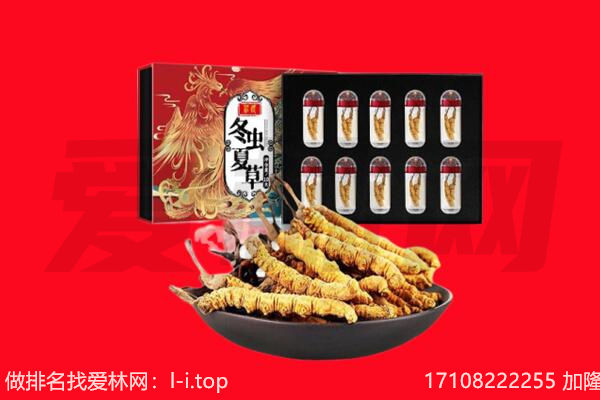 嘉峪关回收虫草.jpg